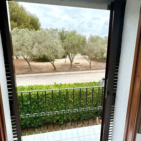 Tropicana Park Vybdenia * דניה